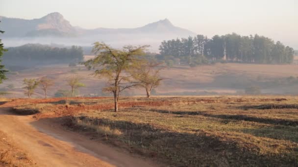 Живописные Кадры Заповедника Свазиленд — стоковое видео