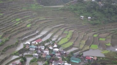 pirinç ekimi için teraslar ile alan