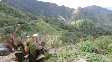 pirinç ekimi için teraslar ile alan