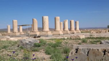 Pasargad eski tapınak İran'ın görüntülerini