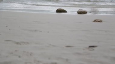 pasifik okyanusunun güzel dalgaları