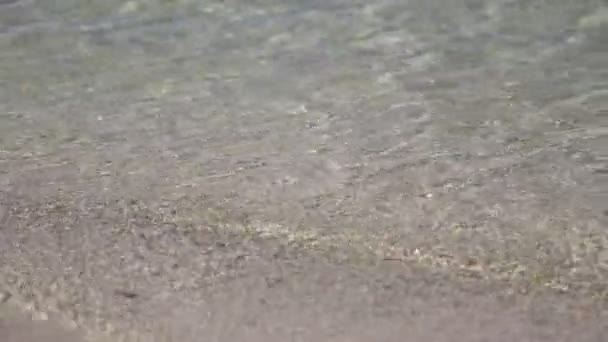 美丽的太平洋波 — 图库视频影像