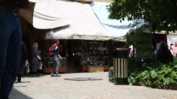 Personer Som Går Old Historic Bazaar Shiraz Iran — Stockvideo