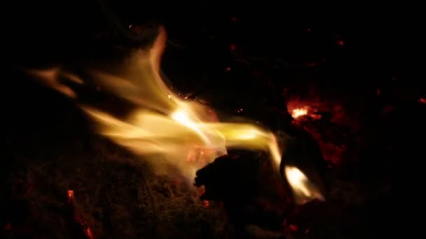 Lagerfeuer Mit Orangefarbener Flamme Dunkler Nacht — Stockvideo