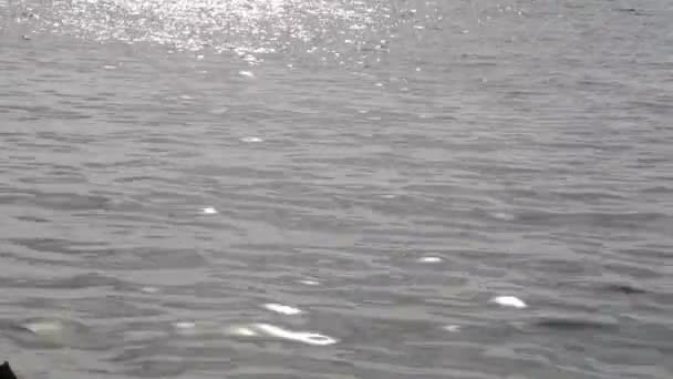海に浮かぶ水のクローズアップ — ストック動画