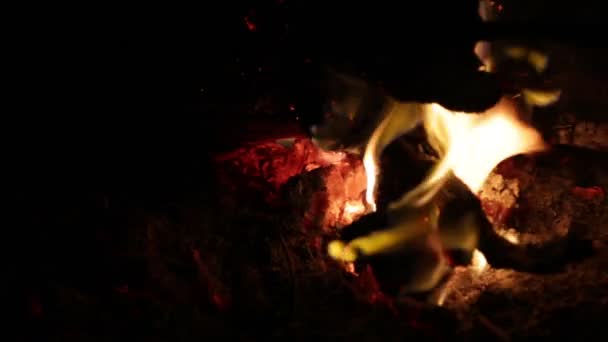 Lagerfeuer Mit Orangefarbener Flamme Dunkler Nacht — Stockvideo