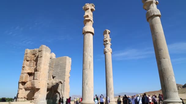 Turistas Persépolis Ruínas Antigas Monumentos Destino Histórico Irã — Vídeo de Stock