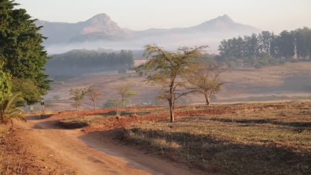 Szenische Aufnahmen Aus Dem Naturschutzgebiet Swasiland — Stockvideo