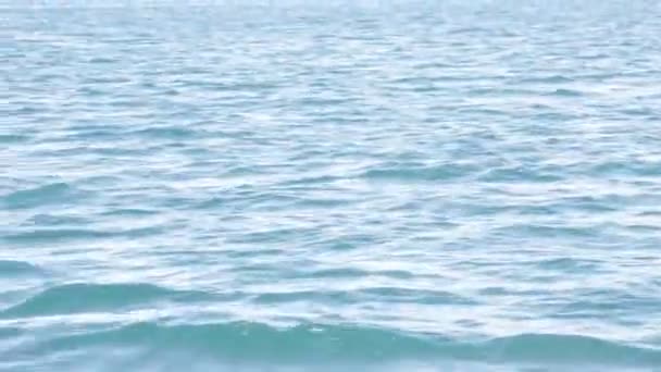 Vue Grand Angle Des Vagues Mer — Video