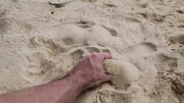 Sahilde Kuma Dokunan Adamın Kırpılmış Çekimi — Stok video