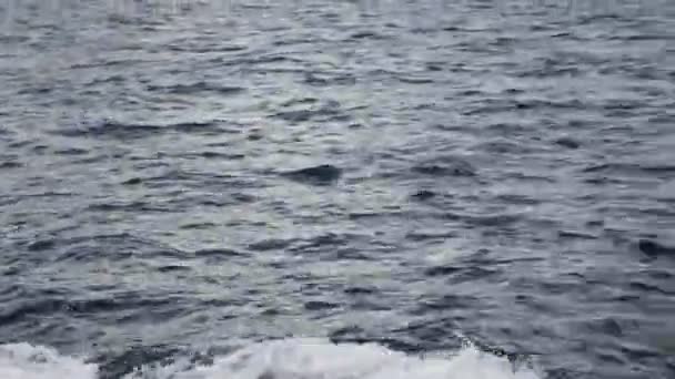海の波の高い角度の眺め — ストック動画