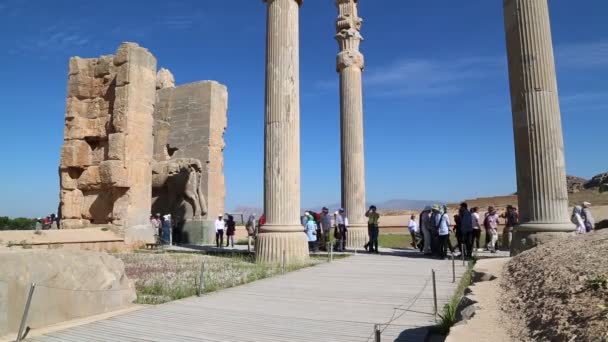 Touristes Persépolis Vieilles Ruines Monuments Historiques Destination Iran — Video