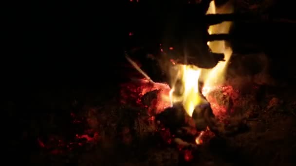 Lagerfeuer Mit Orangefarbener Flamme Dunkler Nacht — Stockvideo