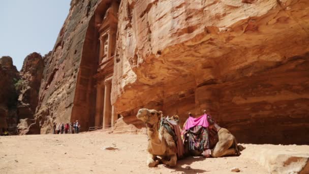 Filmaufnahmen Von Touristen Der Antiken Stätte Petra Jordanischen Kloster — Stockvideo