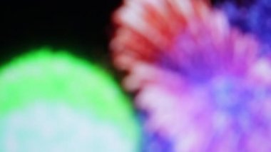 koyu arka plan üzerinde renkli havai fişek bulanık