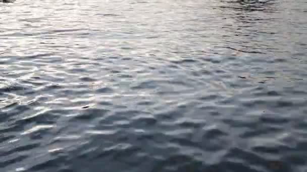 Belas Ondas Refletindo Superfície Água Oceano — Vídeo de Stock