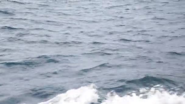 vue à grand angle des vagues en mer 