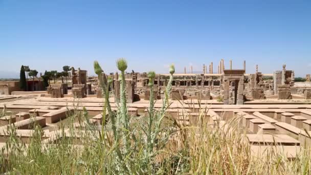 Persepolis Alte Ruinen Historische Sehenswürdigkeiten Iran — Stockvideo