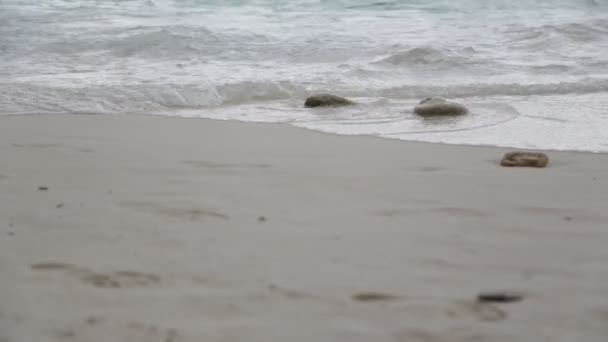 Красиві Хвилі Тихого Океану — стокове відео
