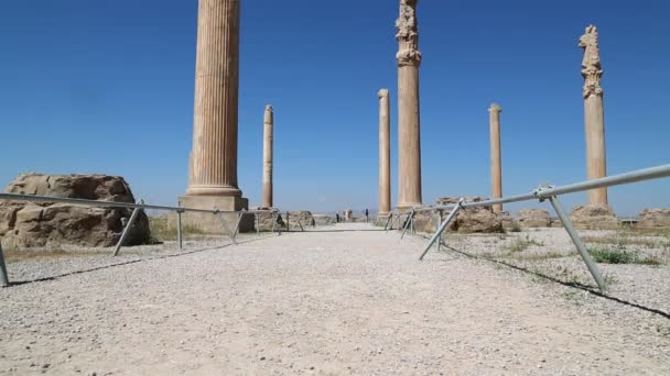 Persepolis Oude Ruïnes Historische Bestemming Monumenten Iran — Stockvideo
