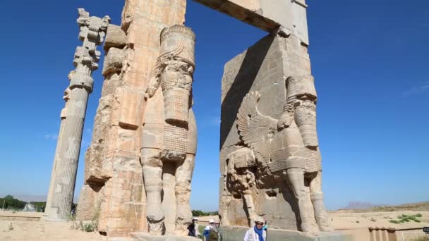 Turistas Persépolis Ruínas Antigas Monumentos Destino Histórico Irã — Vídeo de Stock