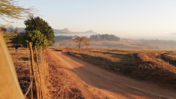 Riprese Panoramiche Della Riserva Naturale Naturale Dello Swaziland — Video Stock