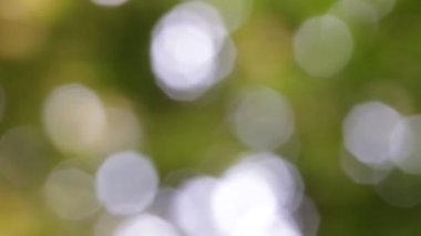 Soyut bulanık renkler arka plan bulanık görüntüleri 