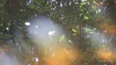 nehir veya gölün dalgalı su yüzeyinin sakin görüntüleri