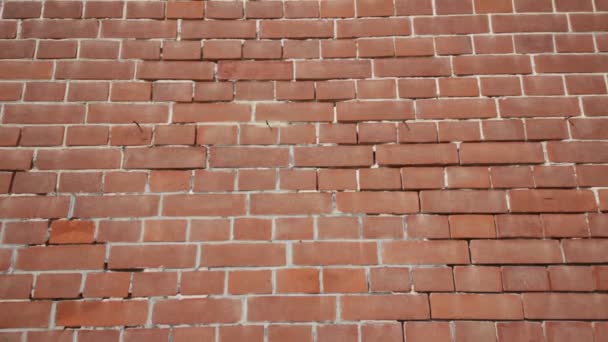 Primer Plano Vieja Pared Marrón Ladrillos — Vídeo de stock