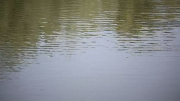 images tranquilles de la surface ondulée de l'eau de la rivière ou du lac 