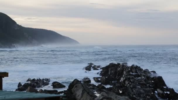 Vacker Utsikt Över Havet Reserv Sydafrika — Stockvideo