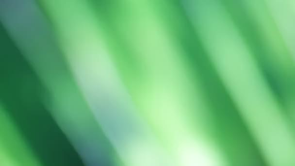 紫罗兰色和绿色装饰抽象五颜六色的背景 — 图库视频影像