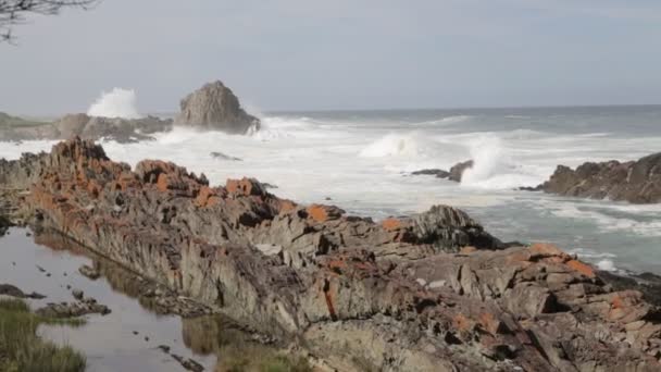 南非海洋保护区的美丽景色 — 图库视频影像