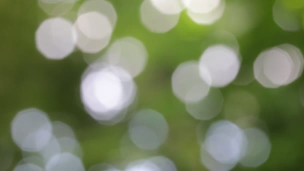 des images floues d'un fond abstrait de couleurs floues  