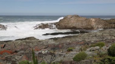 Güney Afrika 'da okyanus rezervi güzel görünümü