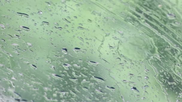 Imagens Close Gotas Água Vidro Janela Com Fundo Natural Desfocado — Vídeo de Stock