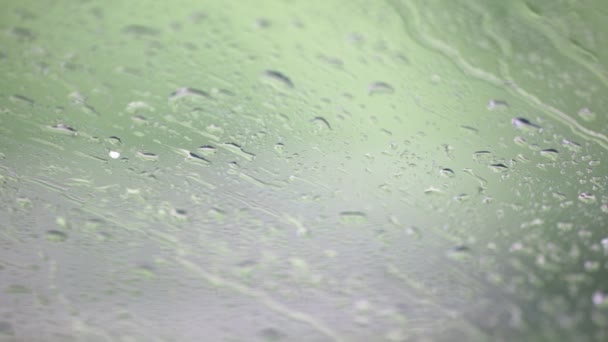 Close Footage Water Droplets Window Glass Blurred Natural Background — Stock Video