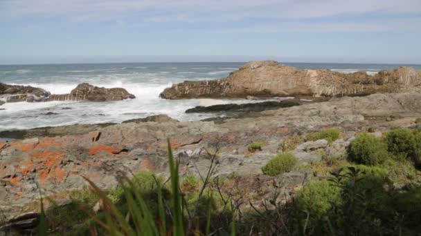 Vacker Utsikt Över Havet Reserv Sydafrika — Stockvideo