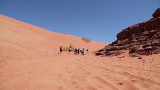 Turistas Caminando Desierto Durante Día — Vídeo de stock
