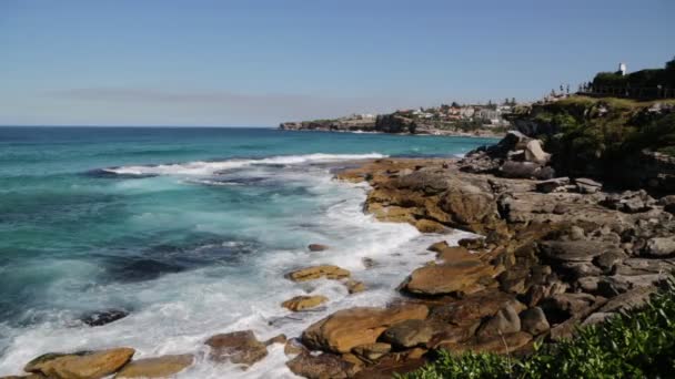 Praia Australiana Como Conceito Paraíso Relaxar — Vídeo de Stock