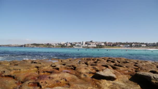 Australischen Strand Wie Paradies Konzept Und Entspannen — Stockvideo