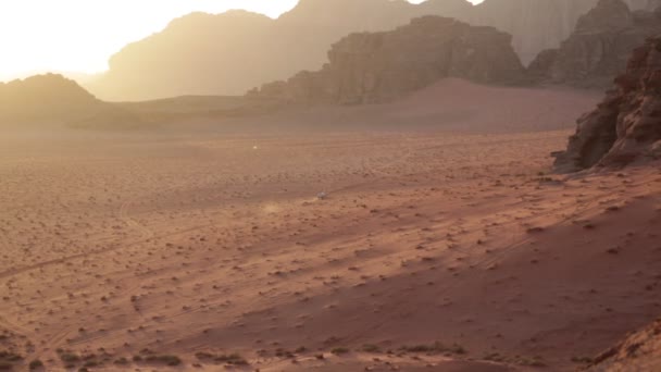 Auto Fährt Alte Wüste Jordanien — Stockvideo