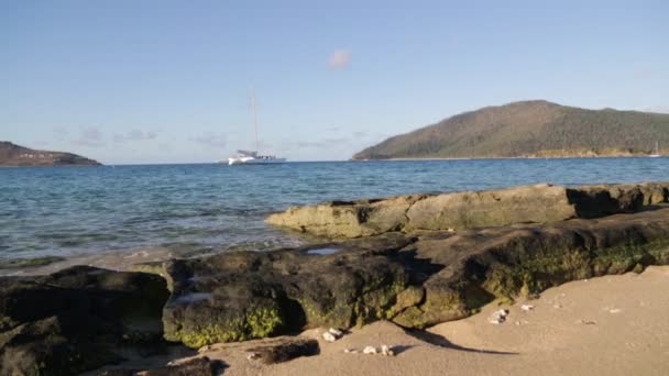オーストラリアのビーチの近くの海で双胴船 — ストック動画