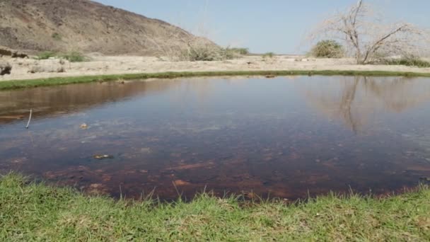 Depressão Vulcânica Danakil Rio Etiópia — Vídeo de Stock