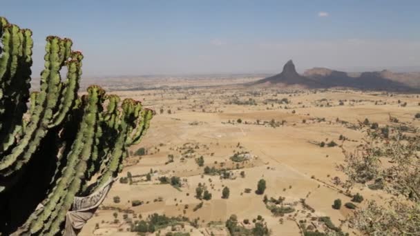 Colina Panorama Montaña Naturaleza Cerca Cactus — Vídeos de Stock