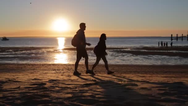Австралійський Пляжу Рай Концепції Розслабитися — стокове відео