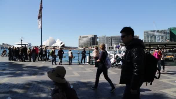 Opera House Dan Skylines Sydney — Stok Video