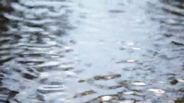 nehir veya gölün dalgalı su yüzeyinin sakin görüntüleri