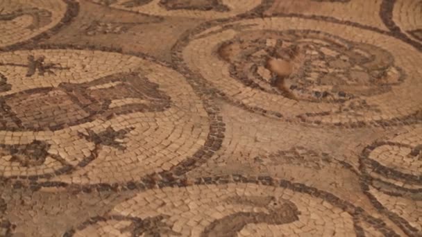 Старовинна Керамічна Римська Декоративна Мозаїка — стокове відео