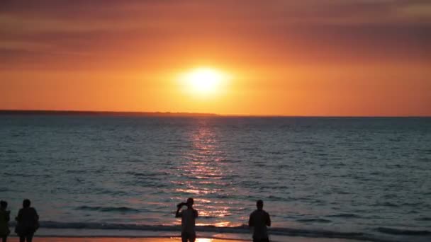 オーストラリアのビーチ パラダイス コンセプトが好きし リラックス — ストック動画